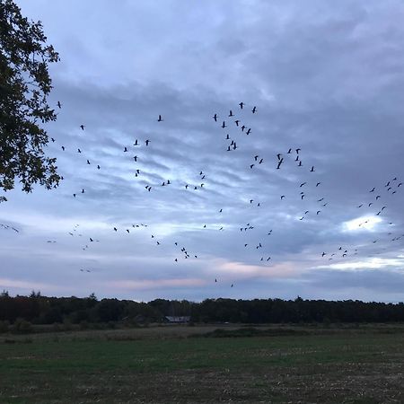 Vakantiehuis Appelvink, Toplocatie In Bosrijke Omgeving Oisterwijk Luaran gambar
