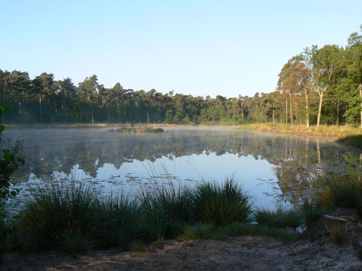 Vakantiehuis Appelvink, Toplocatie In Bosrijke Omgeving Oisterwijk Luaran gambar