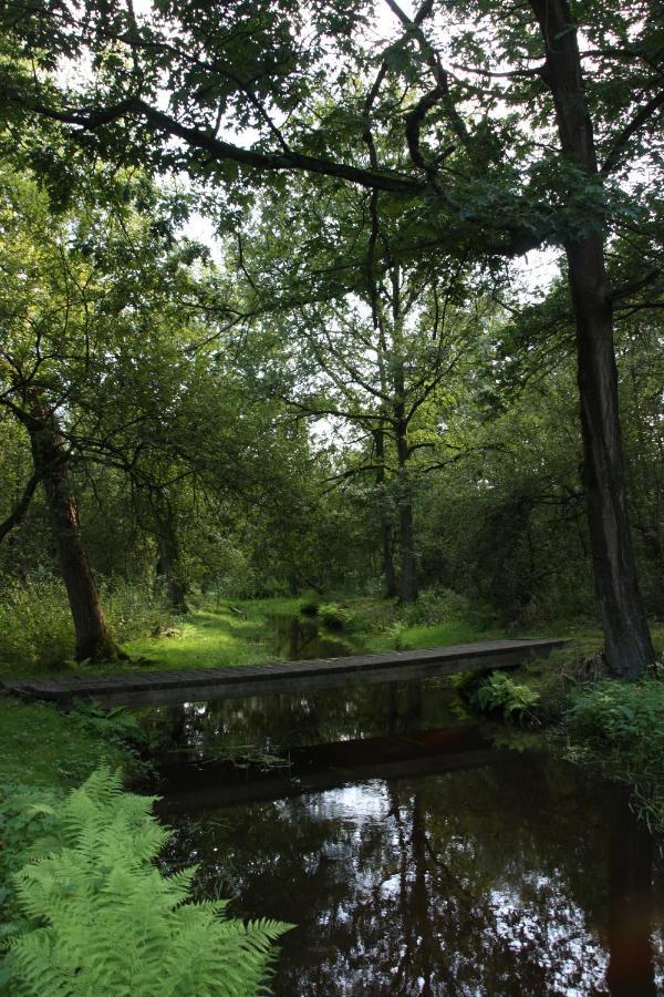 Vakantiehuis Appelvink, Toplocatie In Bosrijke Omgeving Oisterwijk Luaran gambar