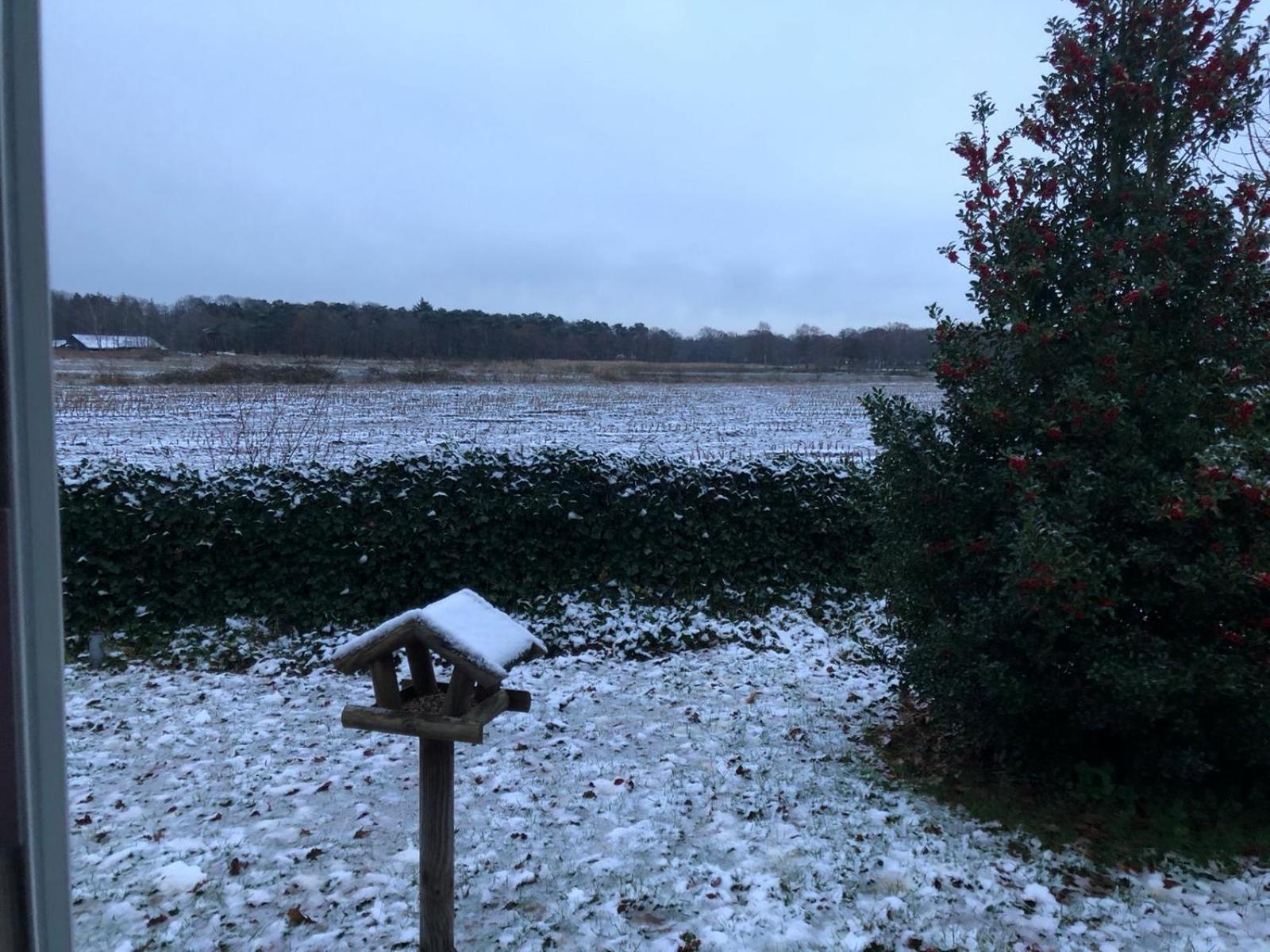 Vakantiehuis Appelvink, Toplocatie In Bosrijke Omgeving Oisterwijk Luaran gambar